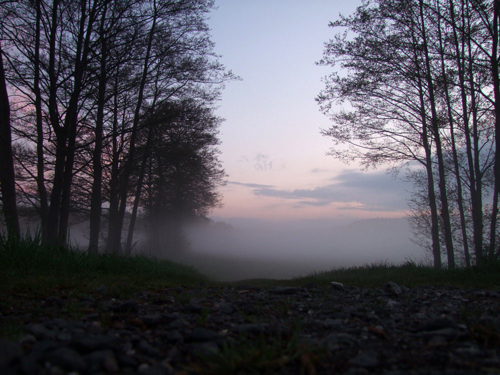 mystisch Natur Nebel Romantik